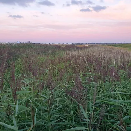 別荘 Bright Family By Kelstrup